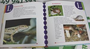 IL PRIMO DIZIONARIO ILLUSTRATO DEGLI ANIMALI