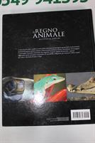 IL REGNO ANIMALE :RETTILI E ANFIBI