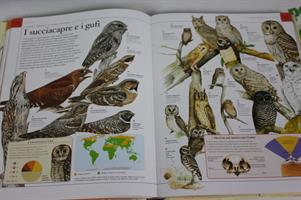 ENCICLOPEDIA DEGLI ANIMALI PER RAGAZZI