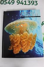 IL REGNO ANIMALE: INVERTEBRATI VOL 3