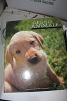 IL REGNO ANIMALE: VARI TITOLI