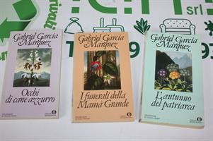 OCCHI DI CANE AZZURRO I FUNERALI DI MAMA GRANDE L'AUTUNNO DEL P