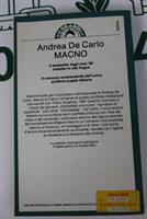 MAGNO di Andrea de Carlo