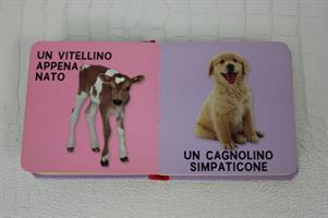 LIBRO CARTONATO TANTI CUCCIOLI