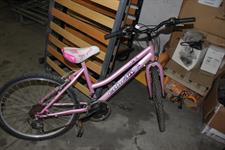 BICI BAMBINA COBRAN ROSA TELAIO 24''