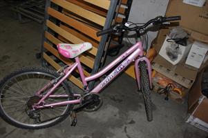 BICI BAMBINA COBRAN ROSA TELAIO 24''