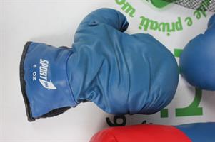 SET DA BOXE BAMBINO GUANTONI CON SACCO