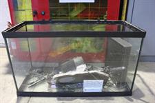 ACQUARIO CON ACCESSORI