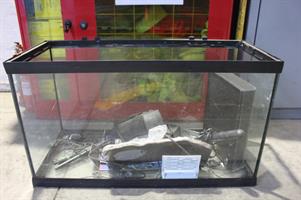 ACQUARIO CON ACCESSORI