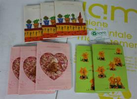 AGENDINE ANNE GEDDES (8 PEZZI)