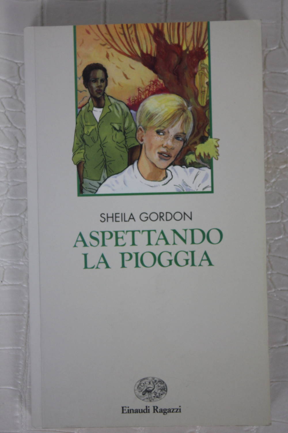 ASPETTANDO LA PIOGGIA di Sheila Gordon