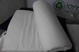 MATERASSINO PER LETTINO DA VIAGGIO + CUSCINO