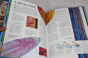 GUIDA COMPLETA AL MICOSCOPIO edizione Usborne