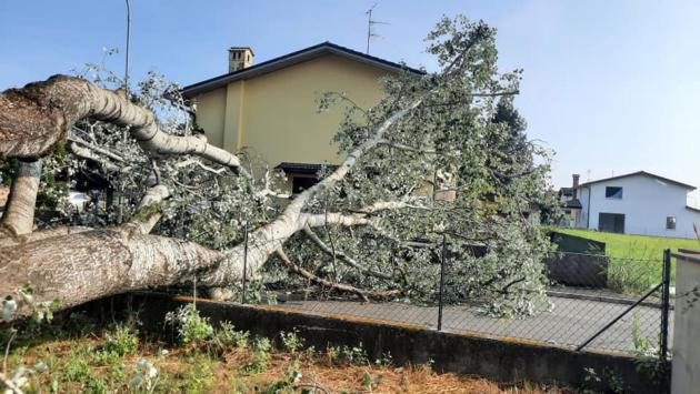 conselice-1690052926915jpg--case_scoperchiate__alberi_divelti__la_tempesta_si_abbatte_su_conselice_gia_provata_dall_alluvione_in_romagna